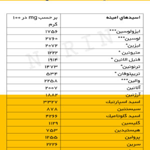 پودر سفیده تخم مرغ پوتن / آلبومین پروتئین نارین 1000 گرمی - تصویر 3
